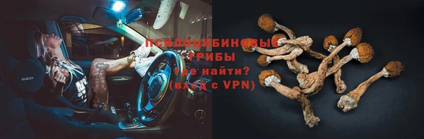 индика Алексин