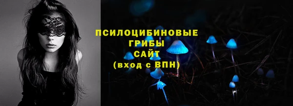 амф Абинск