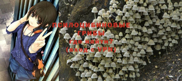 амф Абинск