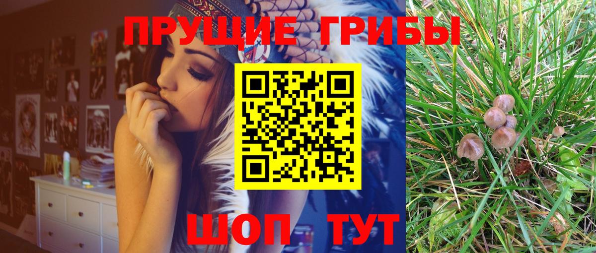 Галлюциногенные грибы мухоморы  Вход с VPN  Псилоцибиновые грибы Psilocybe  Мирный 